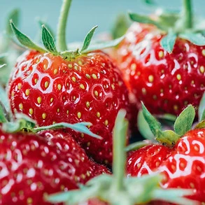Fraises